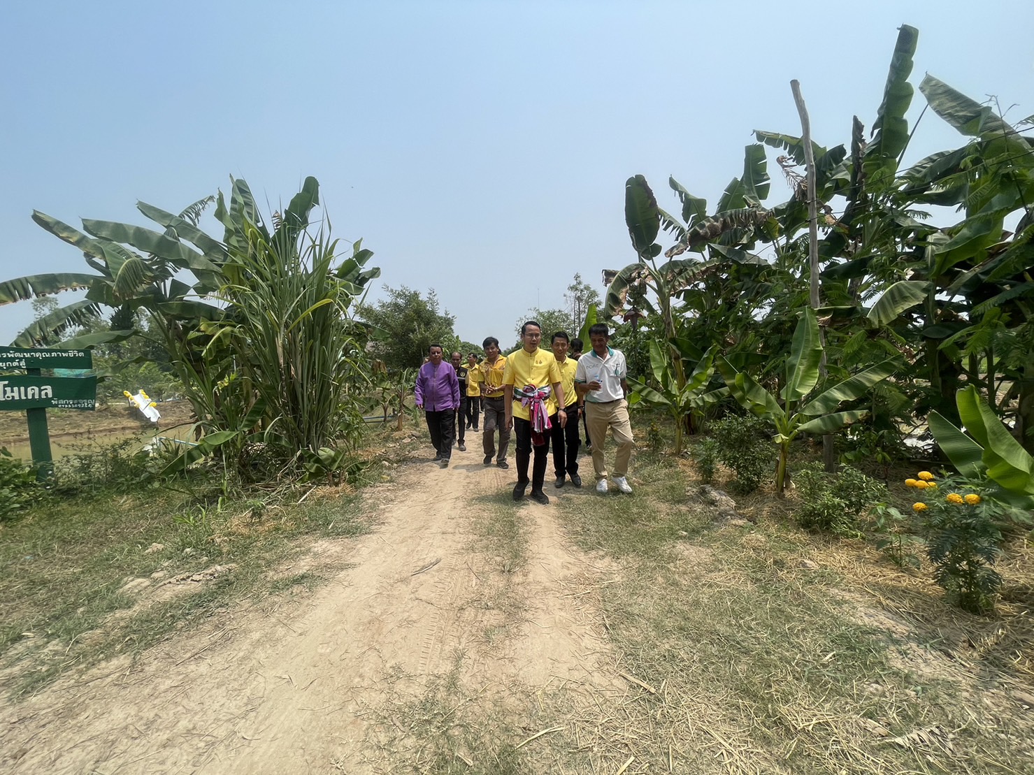 พช.ยโสธร ดำเนินโครงการเฉลิมพระเกียรติพระบาทสมเด็จพระเจ้าอยู่หัว เนื่องในโอกาสมหามงคลเฉลิมพระชนมพรรษา 6 รอบ 28 กรกฎาคม 2567