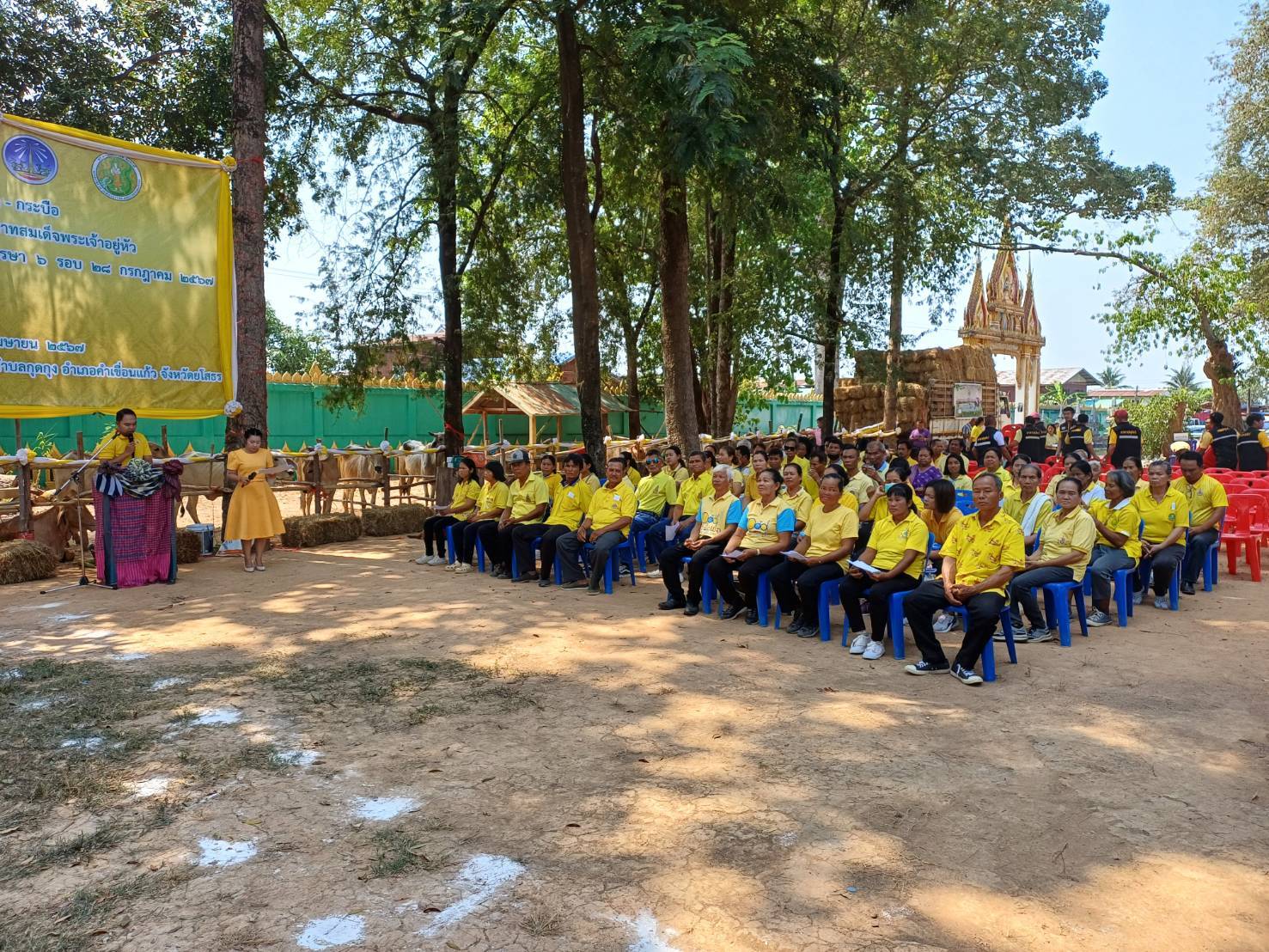 พช.ยโสธร ร่วมงานเกษตรอินทรีย์ วิถียโสธรสัญจร เฉลิมพระเกียรติ พระบาทสมเด็จพระเจ้าอยู่หัว เนื่องในโอกาสมหามงคล เฉลิมพระชนมพรรษา 6 รอบ 28 กรกฎาคม 2567 ครั้งที่ 9 และพิธีไถ่ชีวิตโค – กระบือ โครงการธนาคารโค – กระบือ เพื่อเกษตรกรตามพระราชดำริ