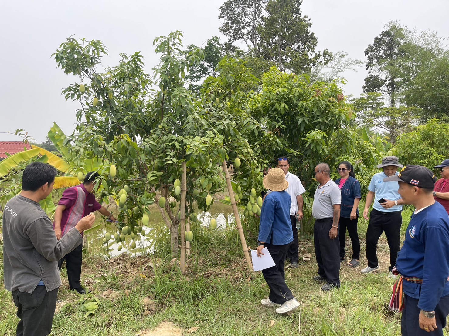พช. ยโสธร จัดทำทะเบียนพันธุ์พืช โครงการเสริมสร้างการเรียนรู้พันธุกรรมพืช