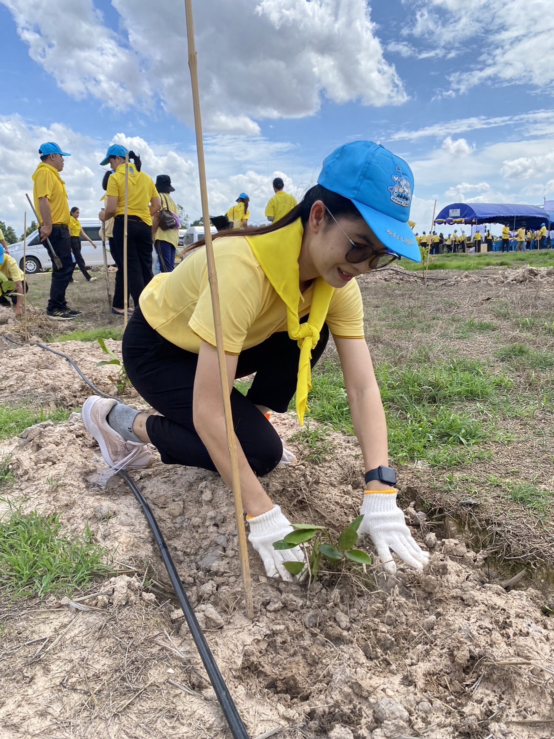 พช. ยโสธร ร่วมกิจกรรมจิตอาสาพัฒนา เนื่องในโอกาสวันเฉลิมพระชนมพรรษา สมเด็จพระนางเจ้าสุทิดาพัชรสุธาพิมลลักษณ พระบรมราชินี 3 มิถุนายน 2567