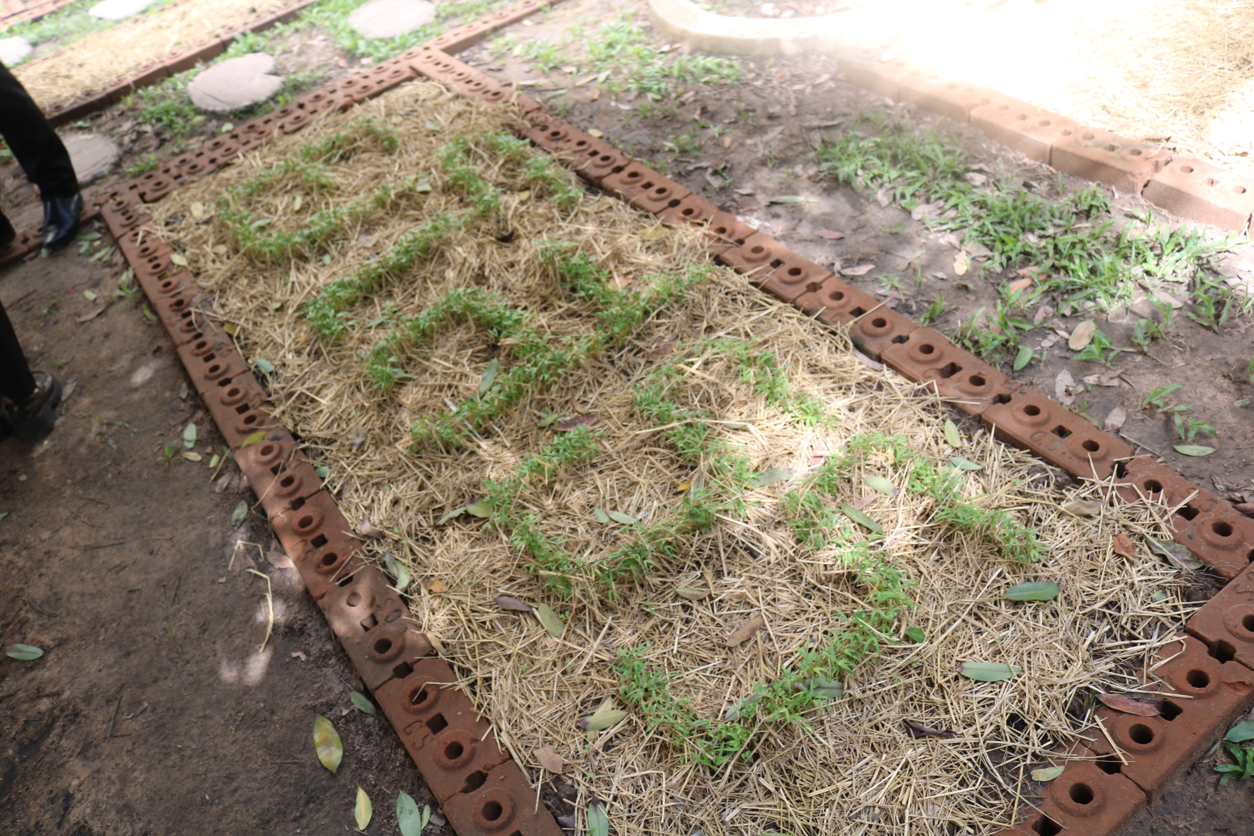 ผู้ว่าฯ ยโสธร นำส่วนราชการ สมาชิกกองทุนสวัสดิการจังหวัดยโสธร ปลูกผักสวนครัว เปลี่ยนพื้นที่ว่างเพื่อสร้างความมั่นคงทางอาหาร