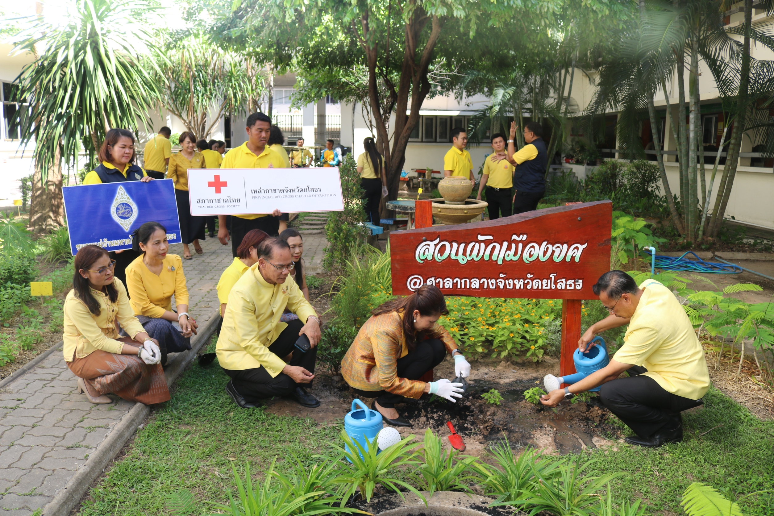 ผู้ว่าฯ ยโสธร นำส่วนราชการ สมาชิกกองทุนสวัสดิการจังหวัดยโสธร ปลูกผักสวนครัว เปลี่ยนพื้นที่ว่างเพื่อสร้างความมั่นคงทางอาหาร