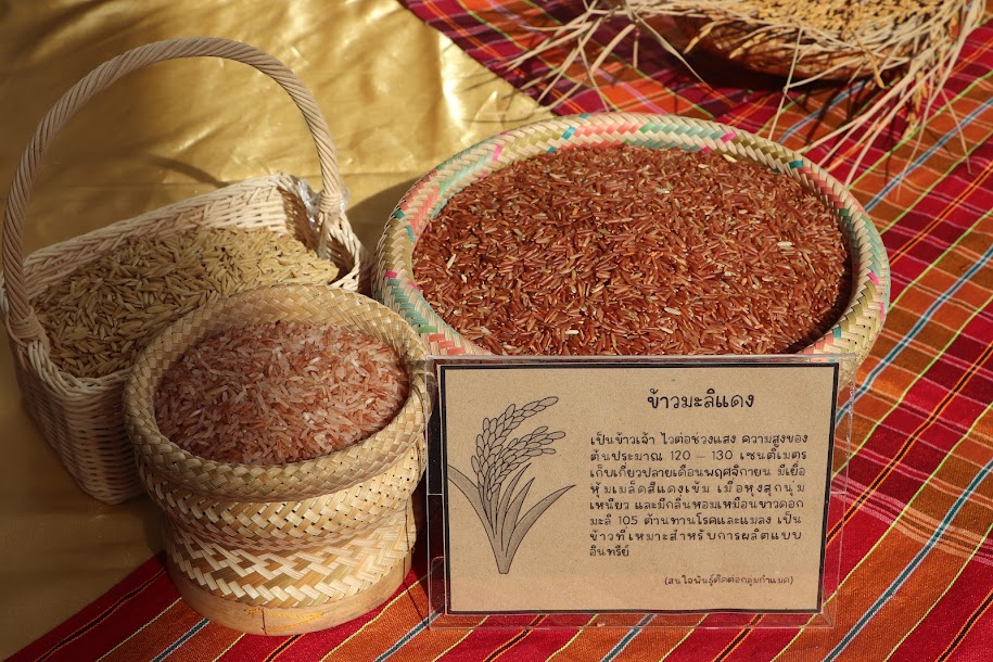 🌸พช.ยโสธร🌸 เข้าร่วมงานมหกรรมพันธุกรรม ครั้งที่ 25