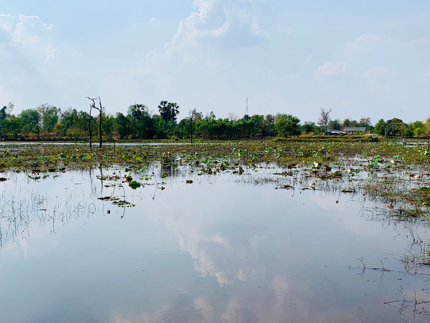 พช.ยโสธร ตรวจ ติดตาม การเร่งรัดดำเนินการบริหารงบประมาณรายจ่ายโครงการพัฒนาหมู่บ้านเศรษฐกิจพอเพียง กิจกรรมพัฒนาศูนย์เรียนรู้การพัฒนาคุณภาพชีวิตตามหลักทฤษฎีใหม่ประยุกต์สู่ “โคก หนอง นา” ปีงบประมาณ พ.ศ.2567