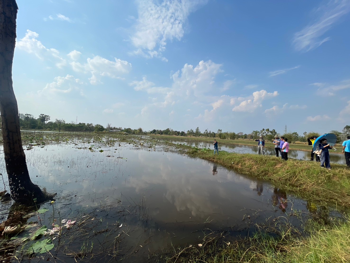 พช.ยโสธร ตรวจ ติดตาม การเร่งรัดดำเนินการบริหารงบประมาณรายจ่ายโครงการพัฒนาหมู่บ้านเศรษฐกิจพอเพียง กิจกรรมพัฒนาศูนย์เรียนรู้การพัฒนาคุณภาพชีวิตตามหลักทฤษฎีใหม่ประยุกต์สู่ “โคก หนอง นา” ปีงบประมาณ พ.ศ.2567