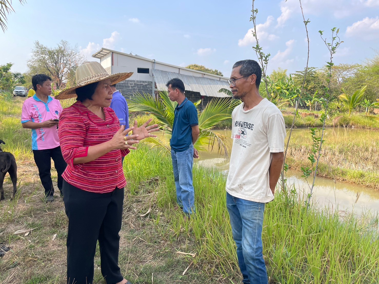 พช.ยโสธร ตรวจ ติดตาม การเร่งรัดดำเนินการบริหารงบประมาณรายจ่ายโครงการพัฒนาหมู่บ้านเศรษฐกิจพอเพียง กิจกรรมพัฒนาศูนย์เรียนรู้การพัฒนาคุณภาพชีวิตตามหลักทฤษฎีใหม่ประยุกต์สู่ “โคก หนอง นา” ปีงบประมาณ พ.ศ.2567