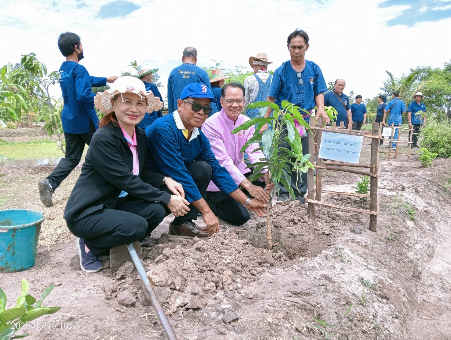🌈พช ยโสธร🌈 ร่วมกิจกรรมวันต้นไม้ประจำปีของชาติ พ.ศ 2568