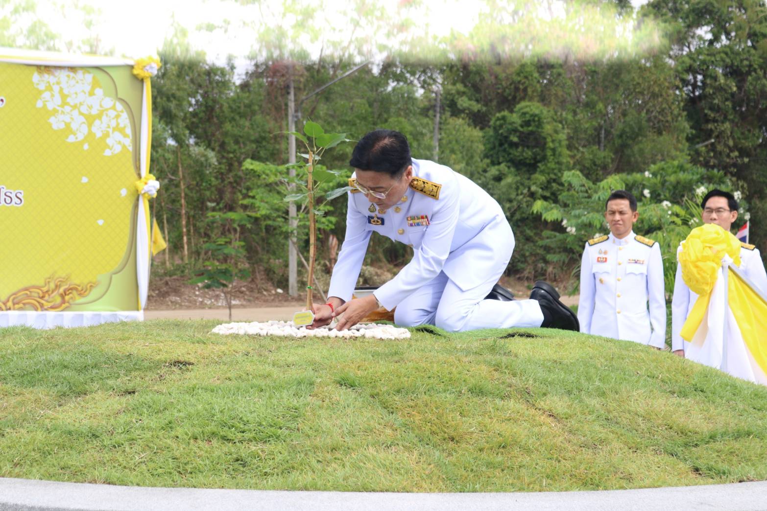 🎉พช.ยโสธร 🎉 ร่วมพิธีปลูก “พระศรีมหาโพธิทศมราชบพิตร” ต้นพระศรีมหาโพธิ์พระราชทานจากพระบาทสมเด็จพระเจ้าอยู่หัว พร้อมกันกับทุกจังหวัดทั่วประเทศ